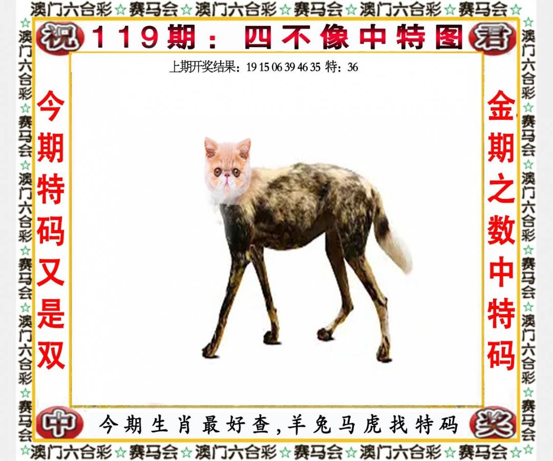 ���ͼƬ�Ŵ�