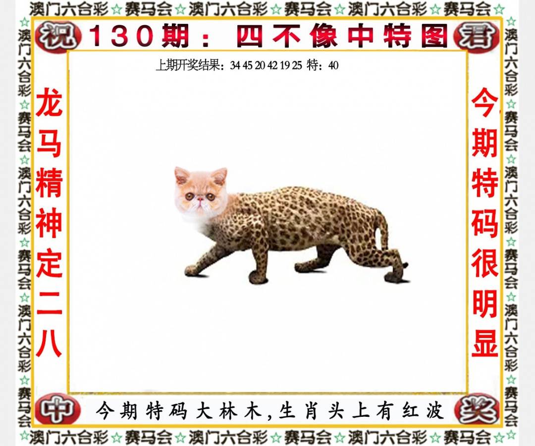 ���ͼƬ�Ŵ�