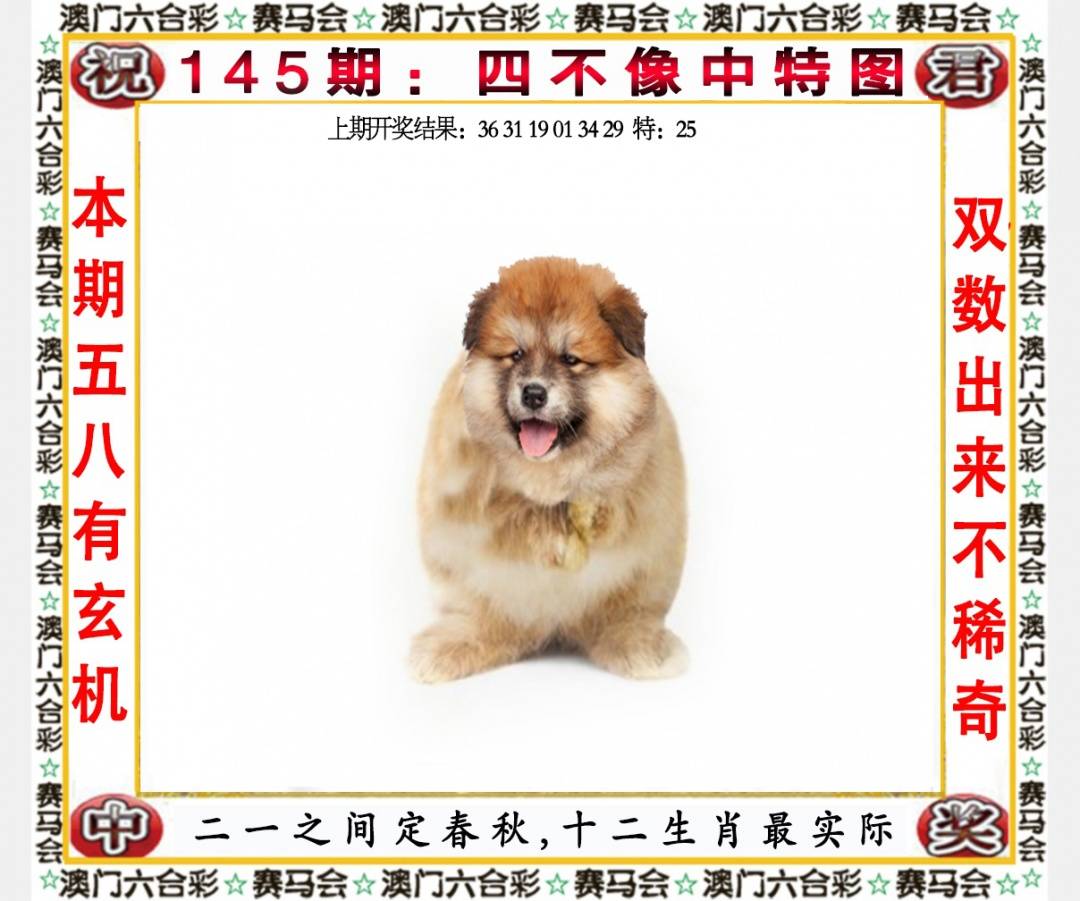 ���ͼƬ�Ŵ�