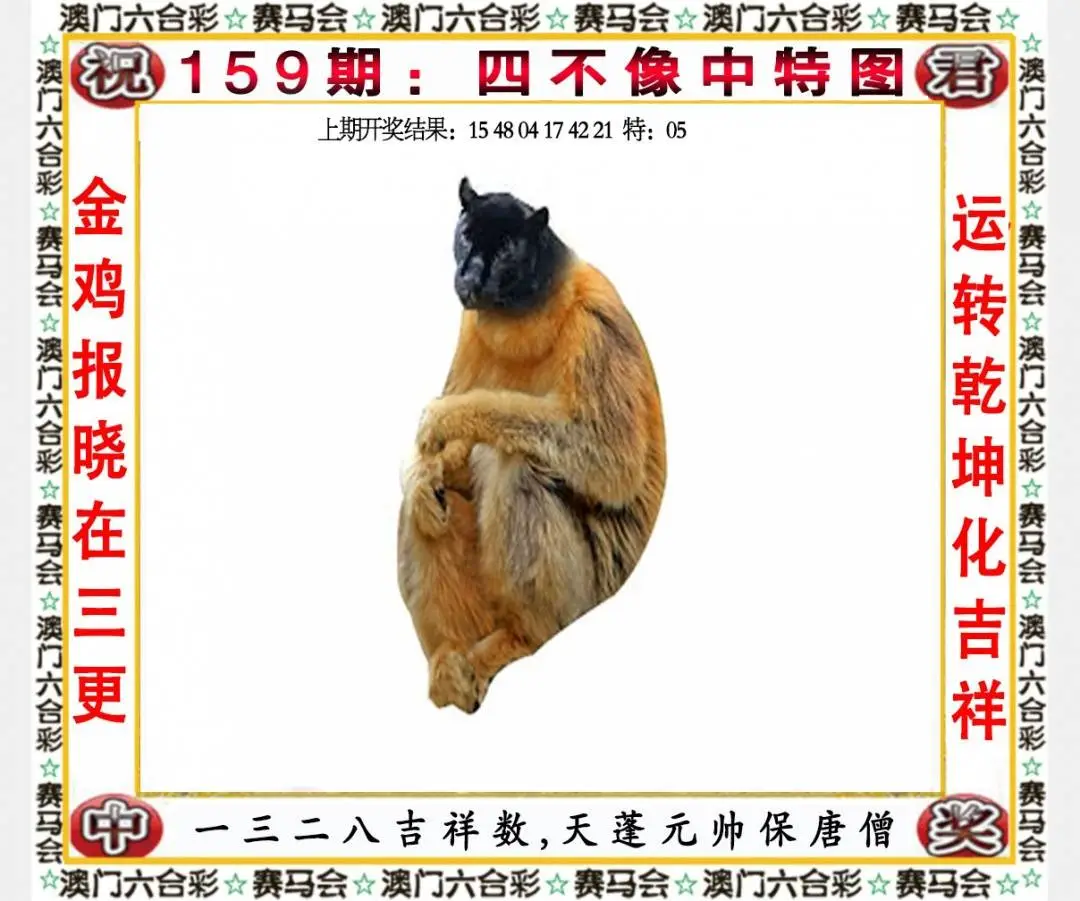 ���ͼƬ�Ŵ�