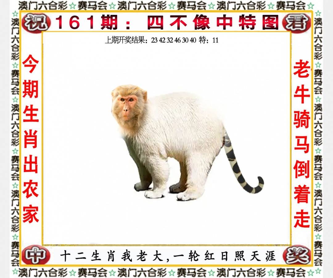 ���ͼƬ�Ŵ�