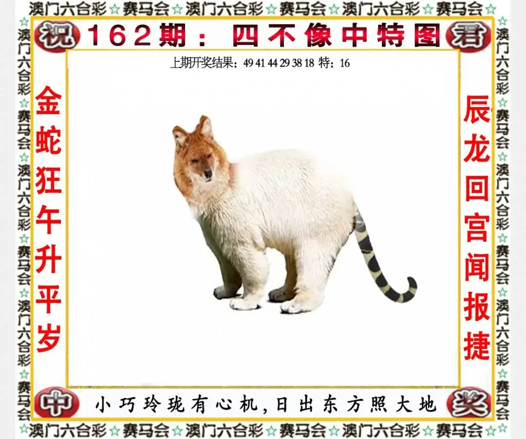 ���ͼƬ�Ŵ�