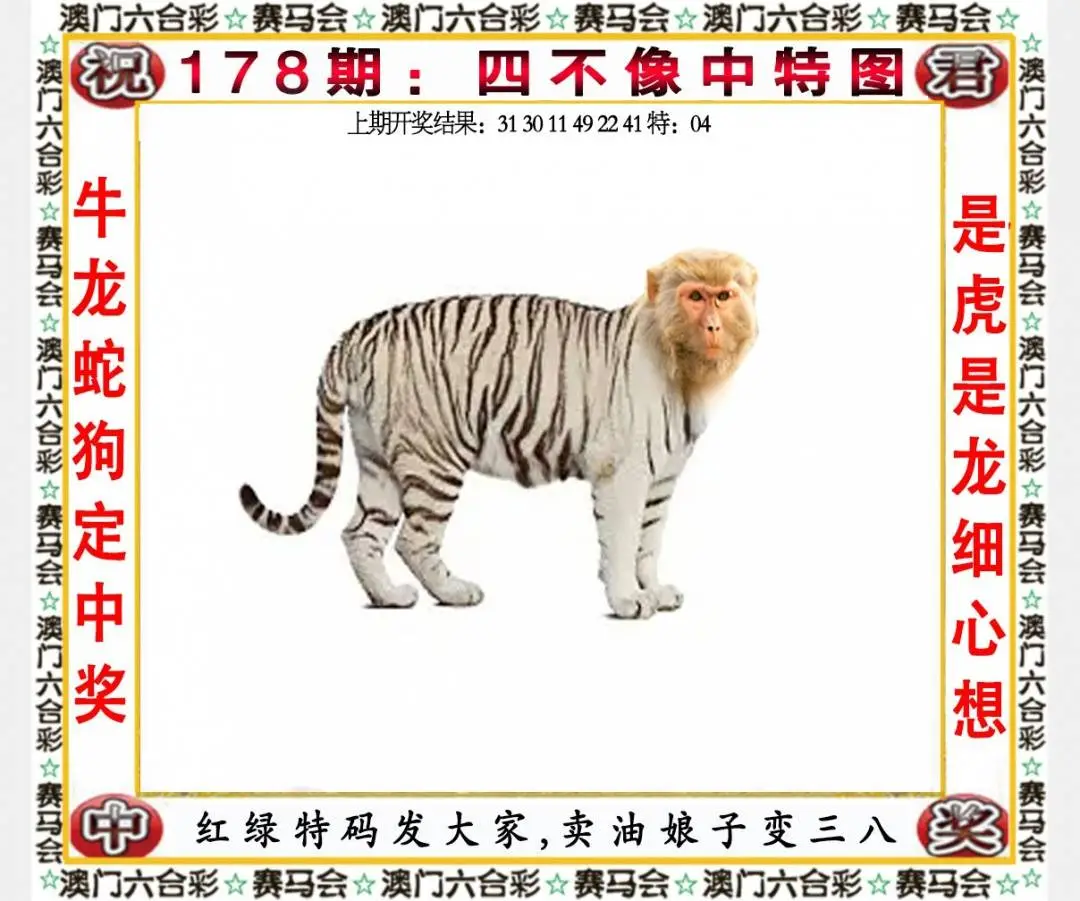 ���ͼƬ�Ŵ�