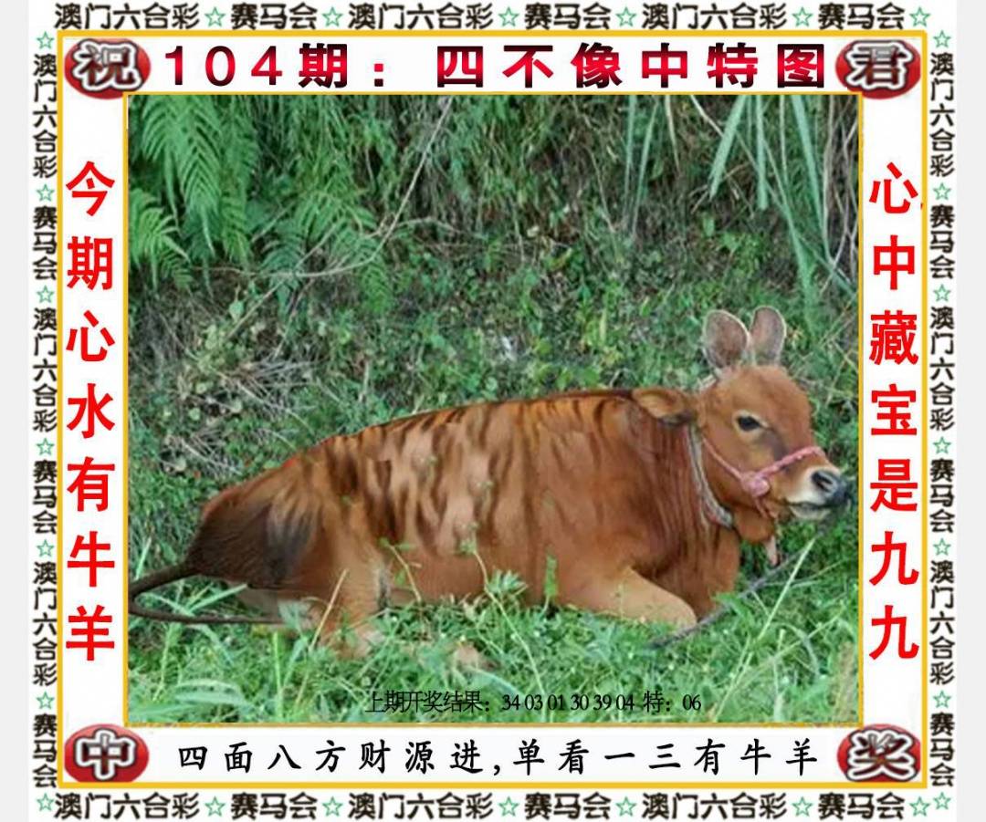 ���ͼƬ�Ŵ�