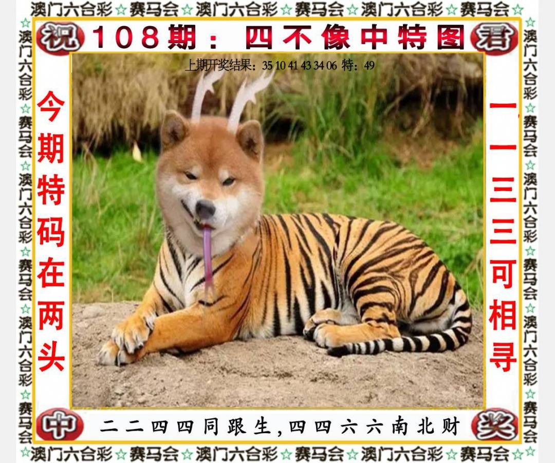 ���ͼƬ�Ŵ�